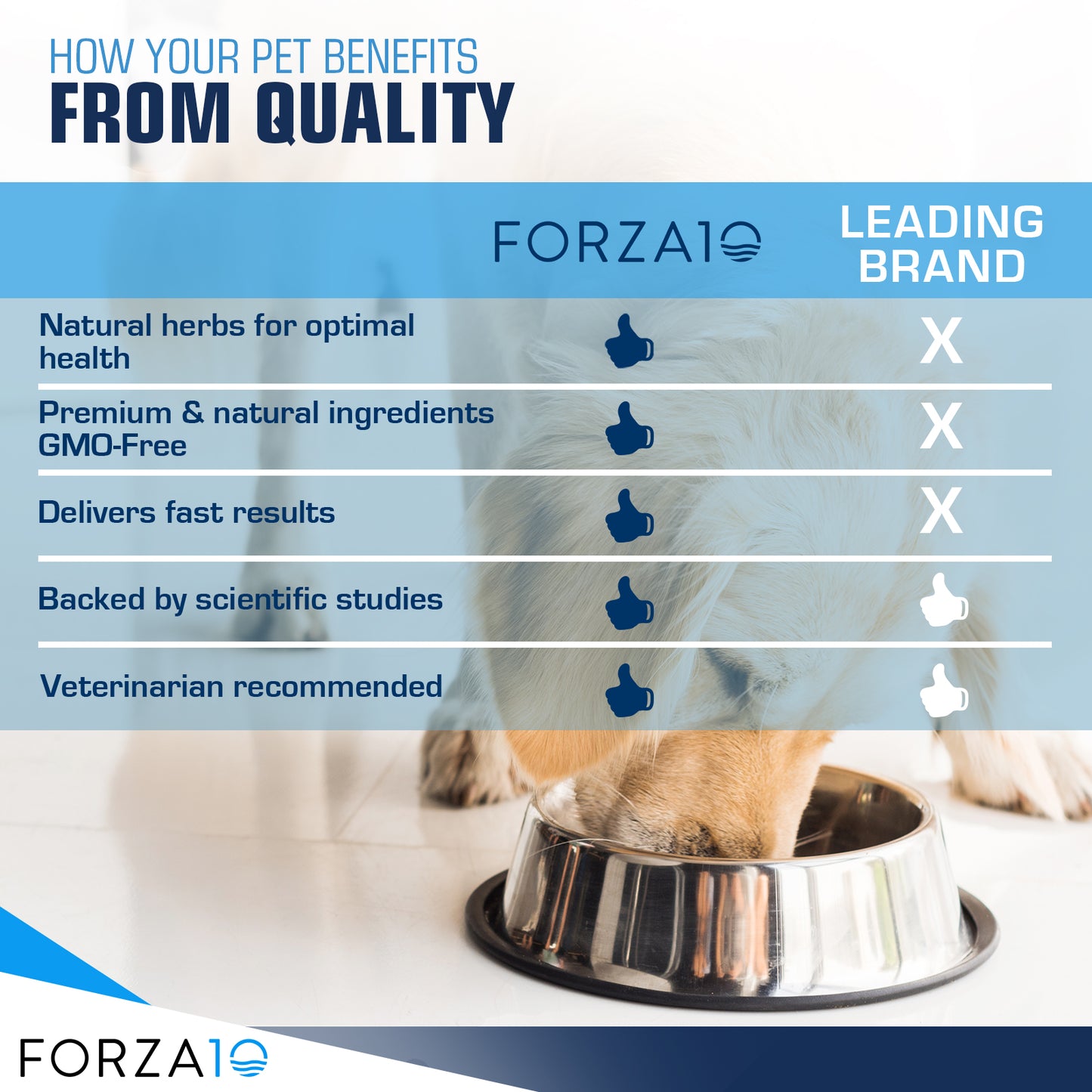 Forza10 Nutraceutic Active Intestinal Cat Food | 4 lb Bag