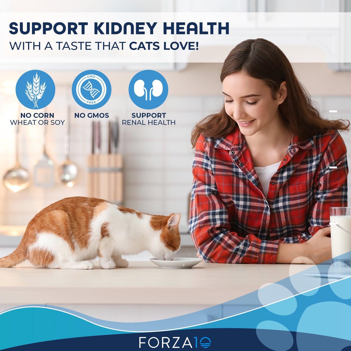 Forza10 Nutraceutic Actiwet Renal Support Wet Pate Cat Food | 3.5 oz