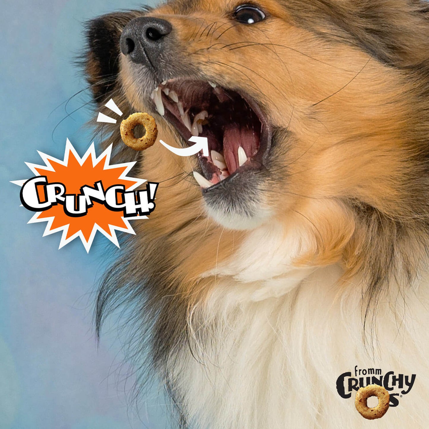 Fromm Crunchy O's Premium Dog Treats | Peanut Butter Jammers Flavour | 737 g