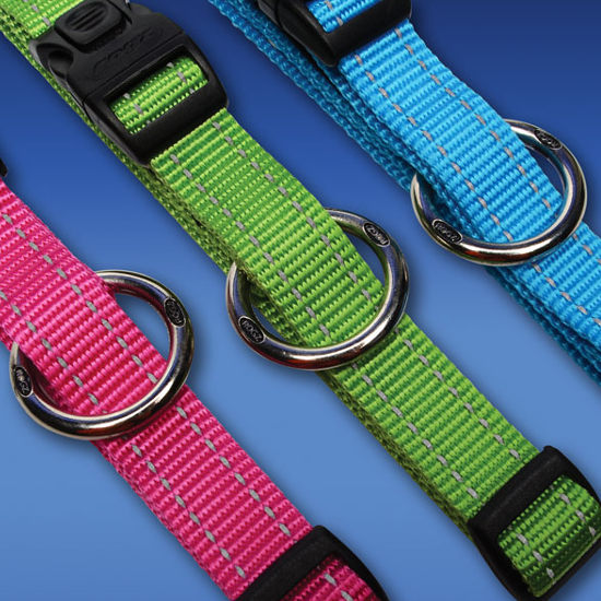 Rogz Classic Dog Collar | Reflective Stitching
