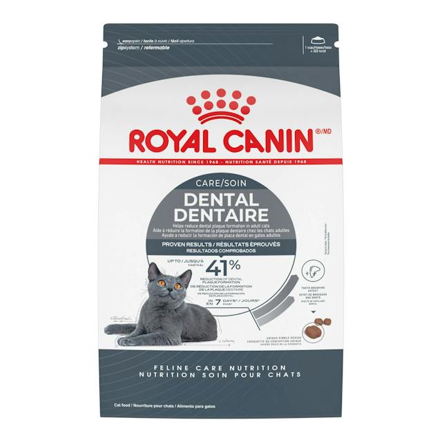 Royal Canin Cat Food | Dental Care Formula | Adult Dry Cat Food 🇨🇦