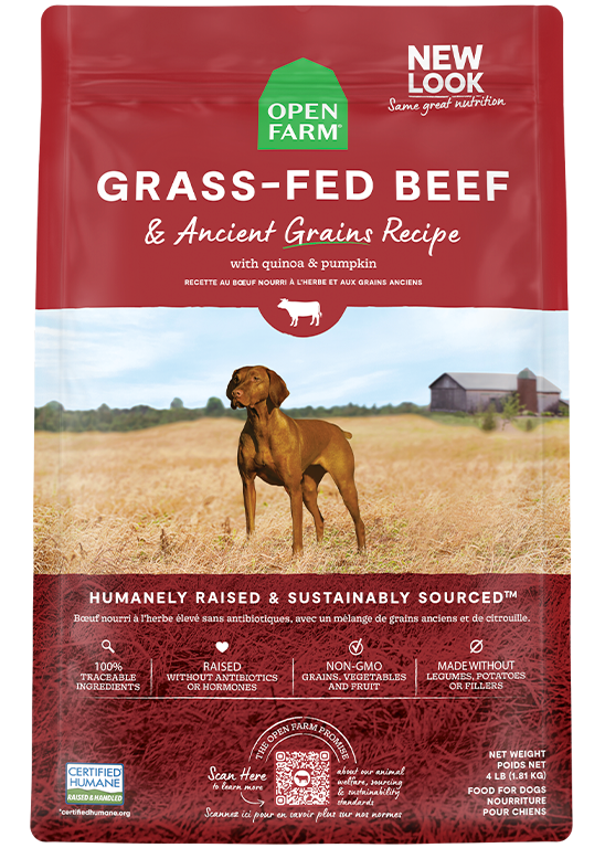 Open Farm Premium Dog Food | Grass-Fed Beef & Ancient Grains Recipe | 11 lb Bag