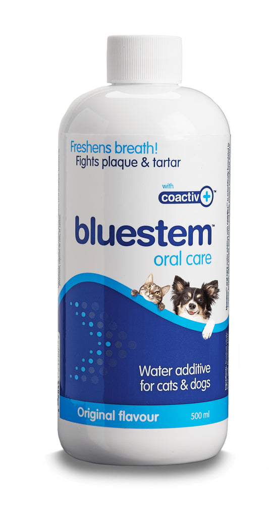 Bluestem Oral Care Water Additive for Dogs and Cats | 500 mL Bottle