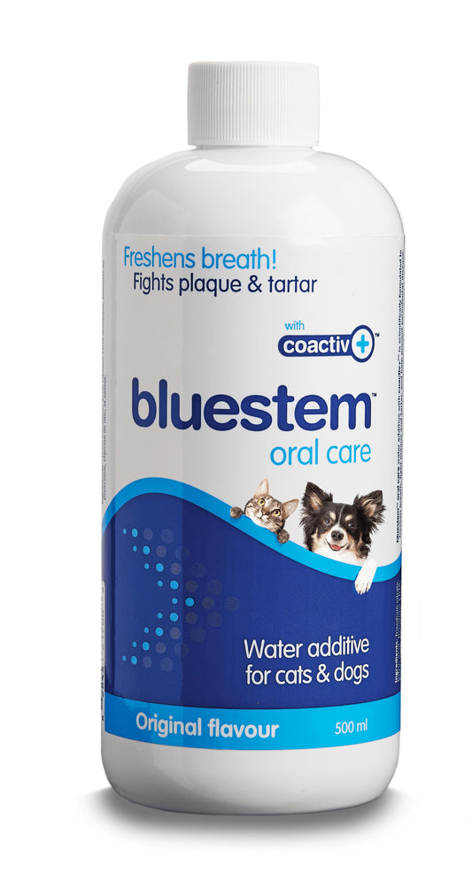 Bluestem Oral Care Water Additive for Dogs and Cats | 500 mL Bottle 🇨🇦