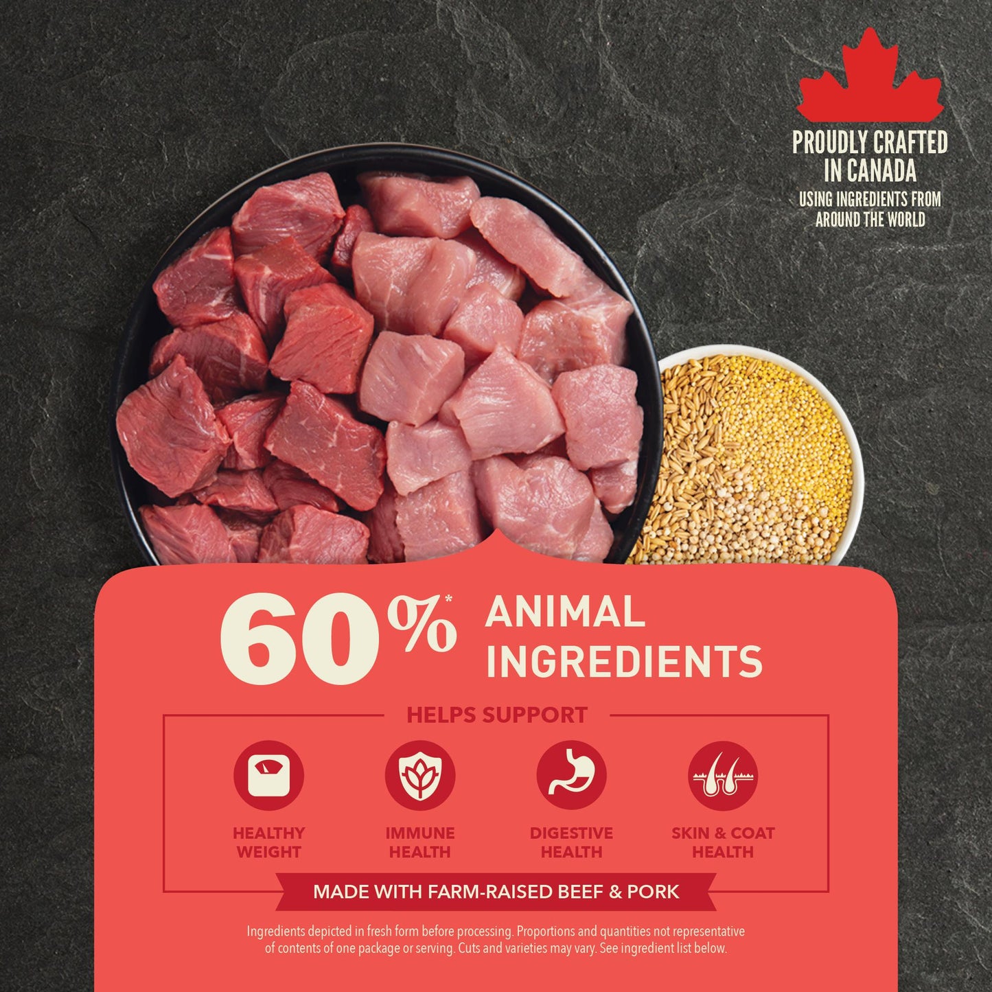 Dog food packaging with beef chunks and grain, featuring a red label with 60% animal ingredients on a dark background.