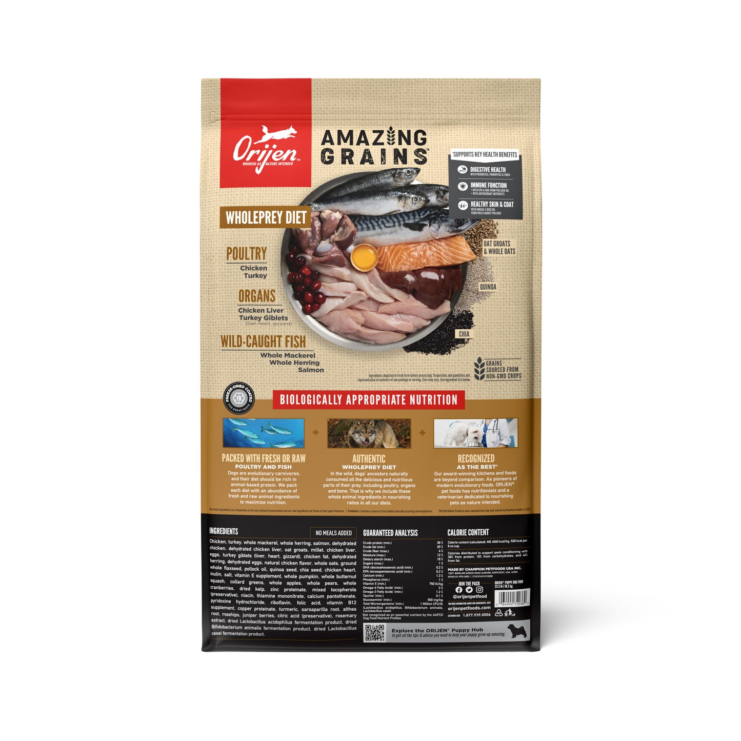 Orijen Amazing Grains puppy food package with a focus on ingredients and nutritional information.