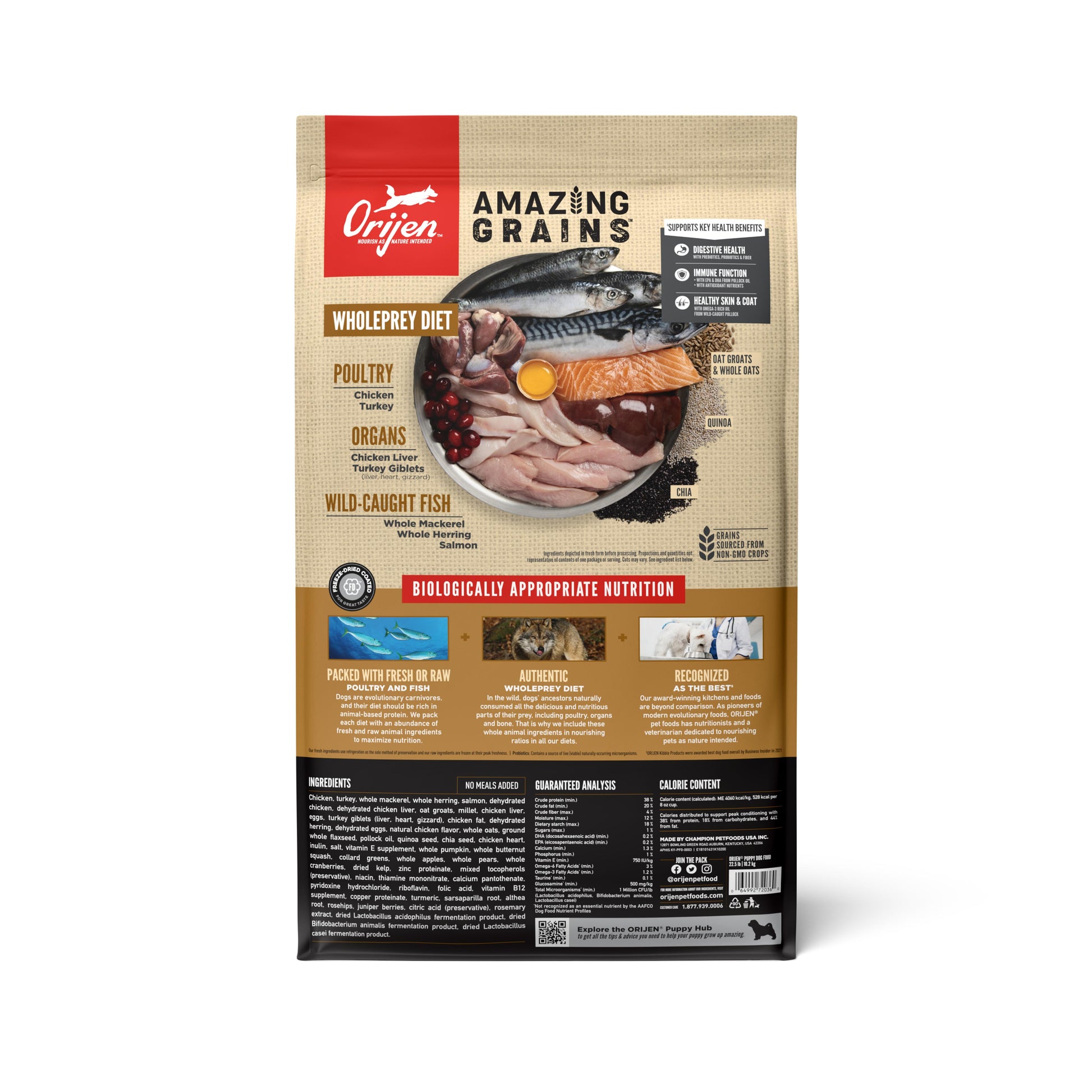 Orijen Amazing Grains puppy food package with a focus on ingredients and nutritional information.