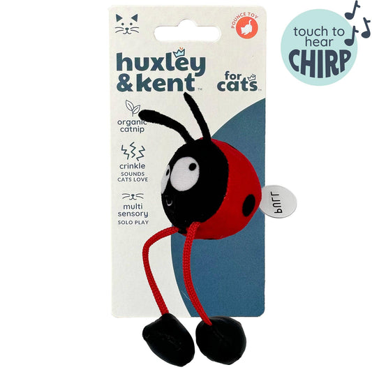 Huxley & Kent Chirpy Ladybug Cat Toy | 6 in