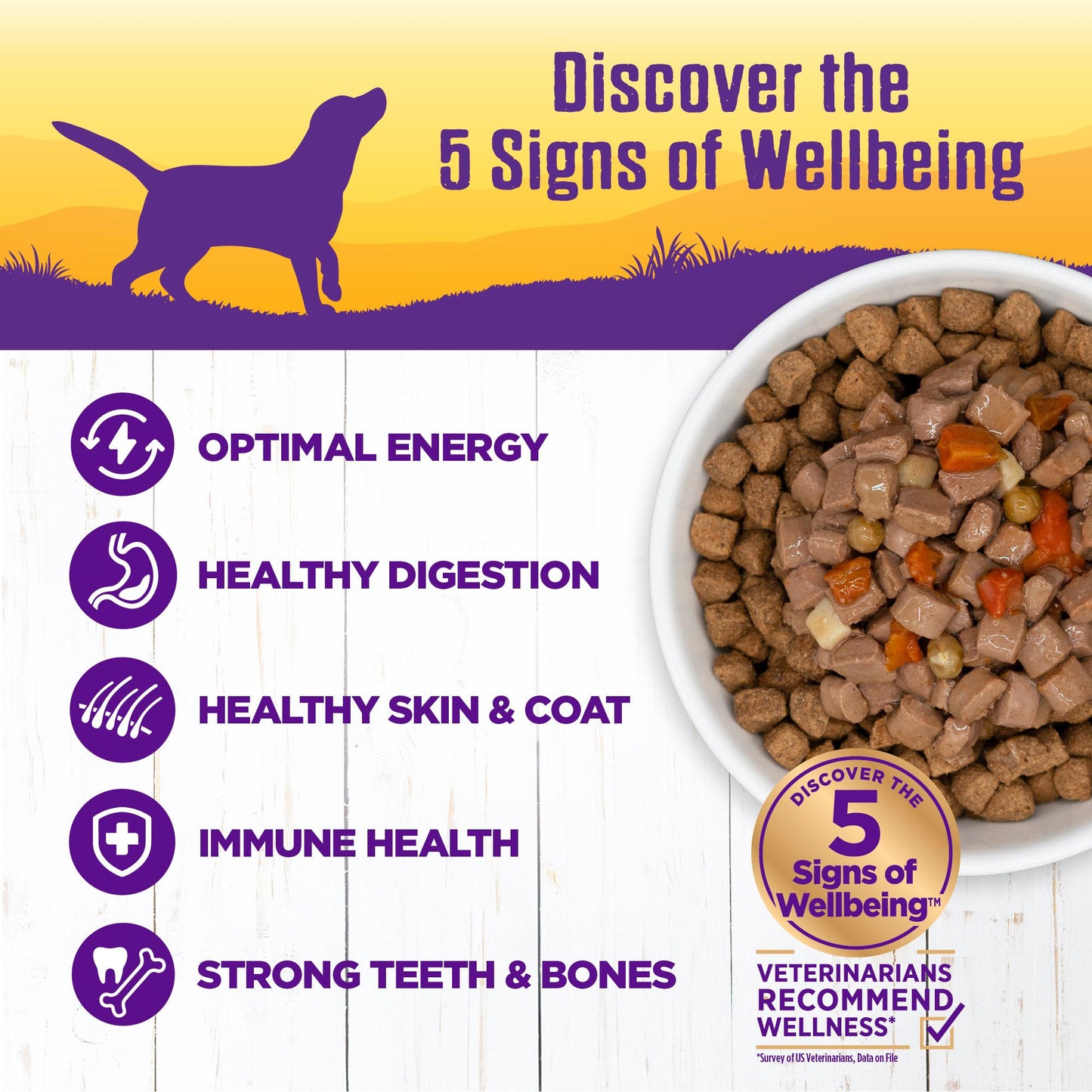 Wellness Premium Canned Dog Food | Grain-Free Homestyle Stew in Gravy | Beef Stew with Carrots & Potatoes Recipe | 12.5 oz. Can