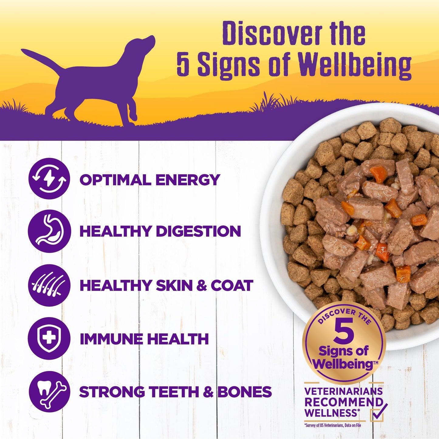 Wellness Premium Canned Dog Food | Grain-Free Homestyle Stew in Gravy | Turkey Stew Recipe | 12.5 oz. Can