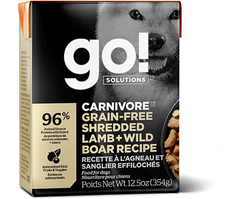 Go! Solutions Premium Dog Food | Carnivore Grain-Free Formula |  Shredded Lamb & Wild Boar Recipe | 354g Carton