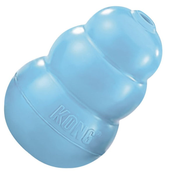 KONG Puppy Toy (Colour varies)