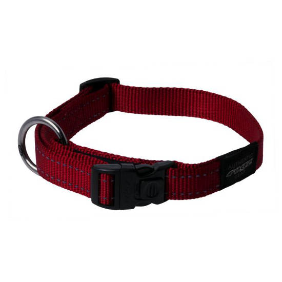 Classic shop dog collars