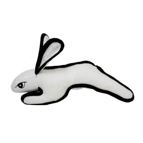Tuffy Dog Toys