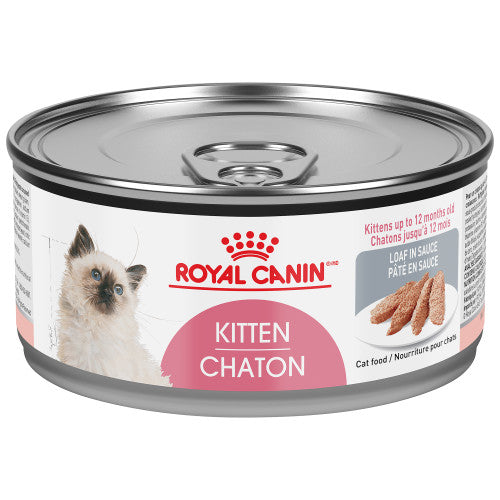 Royal Canin Premium Canned Kitten Food
